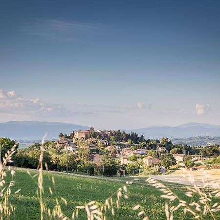 Domus In Castro Bed & Breakfast Montecchio  Bagian luar foto